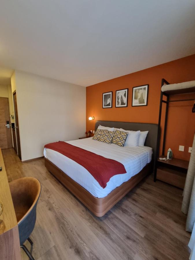 Condesa Cibel Apartment Mexico City Ngoại thất bức ảnh